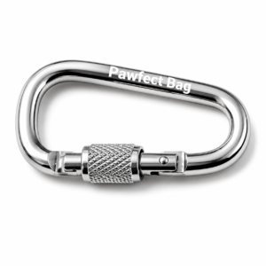 Carabiner Style Hook Silver